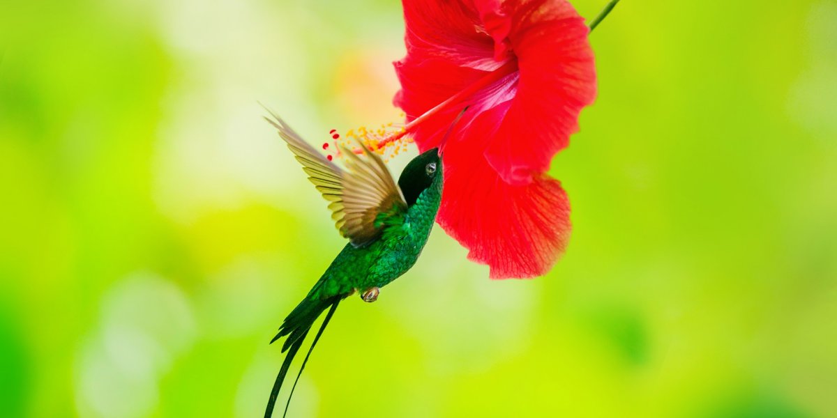 معركة كل رجل